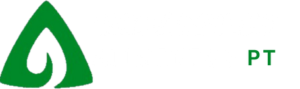 CARAMURU ALIMENTOS PT