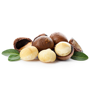 Refined Macadamia Oil